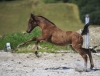 · 4244 x 3213 pixels
· 3 ko
· Catégorie :
· Ajouté le 04/06/2019