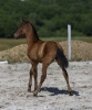 · 2541 x 3076 pixels
· 3 ko
· Catégorie :
· Ajouté le 04/06/2019