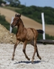 · 2369 x 3010 pixels
· 3 ko
· Catégorie :
· Ajouté le 04/06/2019