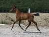 · 4118 x 3056 pixels
· 3 ko
· Catégorie :
· Ajouté le 04/06/2019