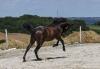 · 1975 x 1349 pixels
· 3 ko
· Catégorie :
· Ajouté le 04/06/2019