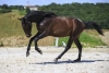 · 4715 x 3150 pixels
· 3 ko
· Catégorie :
· Ajouté le 04/06/2019
