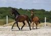 · 4027 x 2845 pixels
· 3 ko
· Catégorie :
· Ajouté le 04/06/2019