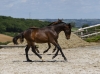 · 3366 x 2458 pixels
· 3 ko
· Catégorie :
· Ajouté le 04/06/2019