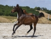 · 4218 x 3224 pixels
· 3 ko
· Catégorie :
· Ajouté le 04/06/2019