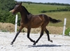 · 4407 x 3208 pixels
· 3 ko
· Catégorie :
· Ajouté le 04/06/2019
