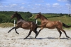 · 5184 x 3456 pixels
· 3 ko
· Catégorie :
· Ajouté le 04/06/2019