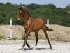 · 4138 x 3127 pixels
· 3 ko
· Catégorie :
· Ajouté le 04/06/2019