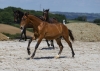 · 3652 x 2558 pixels
· 3 ko
· Catégorie :
· Ajouté le 04/06/2019