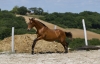 · 3967 x 2533 pixels
· 3 ko
· Catégorie :
· Ajouté le 04/06/2019