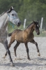 · 2205 x 3373 pixels
· 3 ko
· Catégorie :
· Ajouté le 14/10/2019