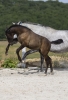 · 2012 x 2990 pixels
· 3 ko
· Catégorie :
· Ajouté le 14/10/2019