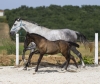 · 3750 x 3115 pixels
· 3 ko
· Catégorie :
· Ajouté le 14/10/2019