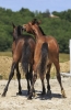 · 1738 x 2704 pixels
· 3 ko
· Catégorie :
· Ajouté le 14/10/2019