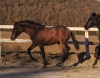 · 2179 x 1698 pixels
· 3 ko
· Catégorie :
· Ajouté le 27/12/2019