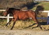 · 4586 x 3265 pixels
· 3 ko
· Catégorie :
· Ajouté le 27/12/2019