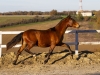 · 3820 x 2849 pixels
· 3 ko
· Catégorie :
· Ajouté le 27/12/2019