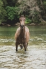 · 2730 x 4096 pixels
· 3 ko
· Catégorie :
· Ajouté le 10/07/2020