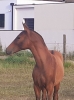 · 1341 x 1825 pixels
· 3 ko
· Catégorie :
· Ajouté le 10/07/2020