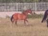 · 1773 x 1313 pixels
· 3 ko
· Catégorie :
· Ajouté le 10/07/2020