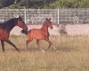 · 1810 x 1424 pixels
· 3 ko
· Catégorie :
· Ajouté le 10/07/2020