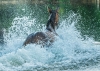 · 5001 x 3545 pixels
· 3 ko
· Catégorie :
· Ajouté le 08/09/2020