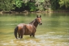 · 5992 x 4000 pixels
· 3 ko
· Catégorie :
· Ajouté le 08/09/2020