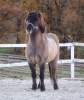 · 1932 x 2312 pixels
· 3 ko
· Catégorie :
· Ajouté le 28/12/2020