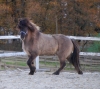 · 2356 x 2086 pixels
· 3 ko
· Catégorie :
· Ajouté le 28/12/2020