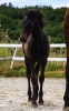 · 594 x 960 pixels
· 3 ko
· Catégorie :
· Ajouté le 20/07/2021
