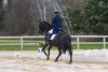 · 2000 x 1333 pixels
· 3 ko
· Catégorie :
· Ajouté le 01/03/2023