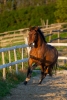 · 1380 x 2070 pixels
· 3 ko
· Catégorie :
· Ajouté le 19/03/2023