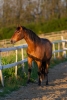 · 2169 x 3253 pixels
· 3 ko
· Catégorie :
· Ajouté le 19/03/2023