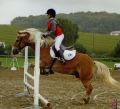 · 851 x 767 pixels
· 158 ko
· Catégorie : Concours
· Ajouté le 14/12/2006
· Description :
haflinger cso