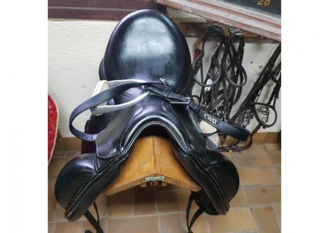 CWD selle dressage